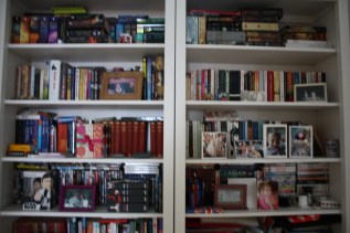 _CO-organizacao estante-1