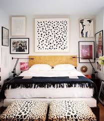 co quarto pb animal print